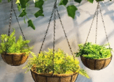 ♻️ Как вырастить богатый урожай овощей и зелени на своем балконе или лоджии. ➠ В статье рассмотрим, советы и секреты балконных агрономов.