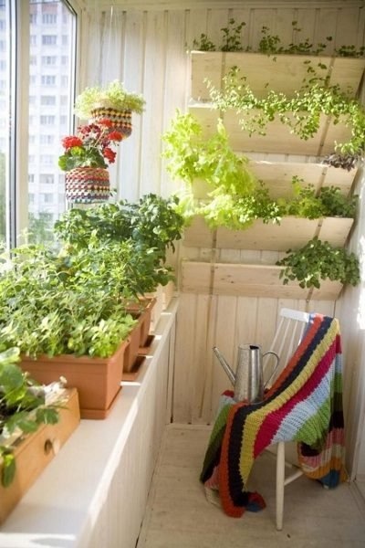 Фото: балконный огород
