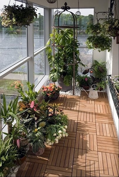 Фото: зимний сад на балконе
